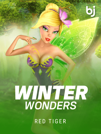 WinterWonders